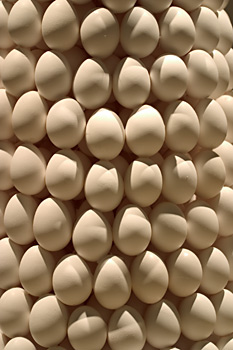 1400 Eggs